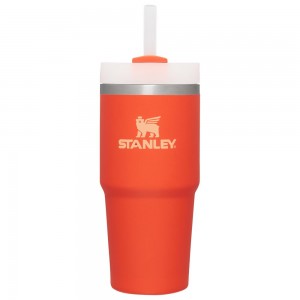 Orange Stanley Quencher H2.0 Travel Tumbler | 14 OZ Water Bottles | 82017-GUWM