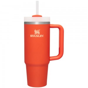 Orange Stanley Quencher H2.0 Travel Tumbler | 30 OZ Water Bottles | 09381-TARQ