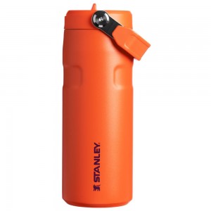 Orange Stanley The IceFlow™ Bottle with Flip Straw Lid | 16 OZ Water Bottles | 35826-GTYF