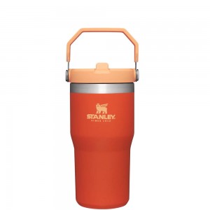 Orange Stanley The IceFlow Flip Straw Tumbler | 20 OZ | Insulated Water Tumbler | Sta Water Bottles | 49612-UOMI