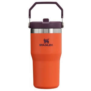 Orange Stanley The IceFlow Flip Straw Tumbler | 20 OZ | Insulated Water Tumbler | Sta Water Bottles | 36419-VSRY