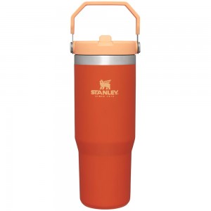 Orange Stanley The IceFlow Flip Straw Tumbler | 30 OZ | Insulated Water Water Bottles | 76249-PAHM