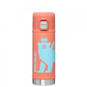 Orange Stanley The Wild Imagination Flowsteady™ Big Bear Bottle | 17 OZ Water Bottles | 13579-UKSD