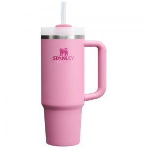 Pink Stanley Quencher H2.0 Travel Tumbler | 30 OZ Water Bottles | 59206-GBPW