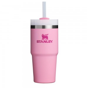 Pink Stanley Quencher H2.0 Travel Tumbler | 14 OZ Water Bottles | 64253-NRAS