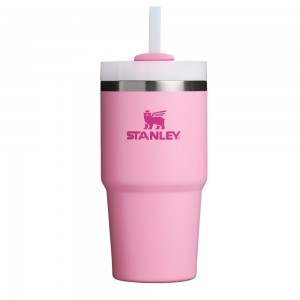 Pink Stanley Quencher H2.0 Travel Tumbler | 20 OZ Water Bottles | 05124-ASZG