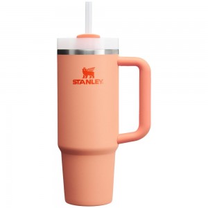 Pink Stanley Quencher H2.0 Travel | 30 OZ Tumbler | 19702-ZLQK