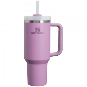 Purple Stanley Adventure Quencher H2.0 Travel | 40 OZ Tumbler | 85092-YHBO