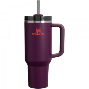 Purple Stanley Adventure Quencher H2.0 Travel | 40 OZ Tumbler | 03872-PFBS