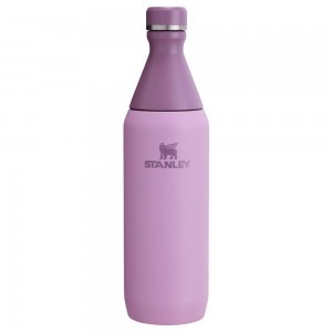 Purple Stanley All Day Slim Bottle | 20 OZ Water Bottles | 83549-MUZJ