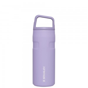 Purple Stanley IceFlow™ Bottle with Cap and Carry+ Lid | 16 OZ Water Bottles | 31489-QOPS