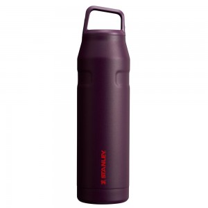 Purple Stanley IceFlow™ Bottle with Cap and Carry+ Lid | 36 OZ Water Bottles | 27059-QJBM