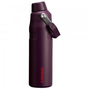 Purple Stanley IceFlow Insulated Bottle with Fast Flow Lid | 24 OZ Water Bottles | 65091-PCDV