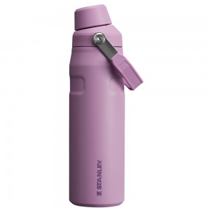 Purple Stanley IceFlow Insulated Bottle with Fast Flow Lid | 24 OZ Water Bottles | 62350-BTJL