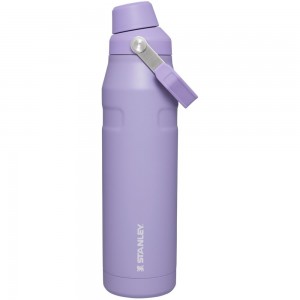 Purple Stanley IceFlow Insulated Bottle with Fast Flow Lid | 36 OZ Water Bottles | 52794-DQOK