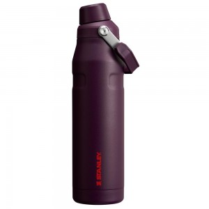 Purple Stanley IceFlow Insulated Bottle with Fast Flow Lid | 36 OZ Water Bottles | 23840-AYJW