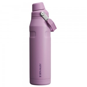 Purple Stanley IceFlow Insulated Bottle with Fast Flow Lid | 36 OZ Water Bottles | 69031-CGSK