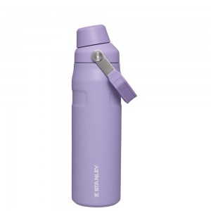 Purple Stanley IceFlow Insulated Bottle with Fast Flow Lid | 24 OZ Water Bottles | 58276-QEPK