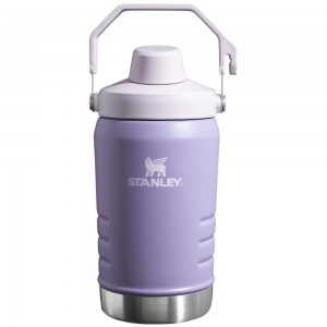 Purple Stanley IceFlow™ Jug with Fast Flow Lid | 40 OZ Water Bottles | 03481-OSUI