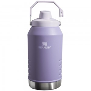 Purple Stanley IceFlow™ Jug with Fast Flow Lid | 96 OZ Water Bottles | 64023-SLAE