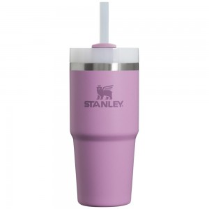 Purple Stanley Quencher H2.0 Travel Tumbler | 14 OZ Water Bottles | 67310-EUWB