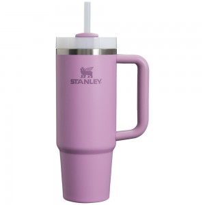 Purple Stanley Quencher H2.0 Travel Tumbler | 30 OZ Water Bottles | 37504-BPSV