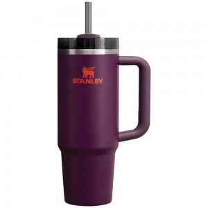 Purple Stanley Quencher H2.0 Travel Tumbler | 30 OZ Water Bottles | 51369-HTLV