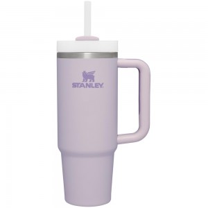 Purple Stanley Quencher H2.0 Travel Tumbler | Soft Matte | 30 OZ Water Bottles | 48913-GUHZ