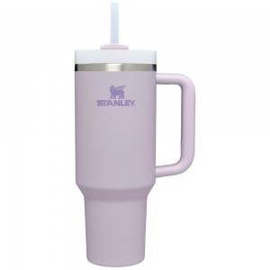 Purple Stanley Quencher H2.0 Travel Tumbler | 40 OZ Water Bottles | 03241-GAEI