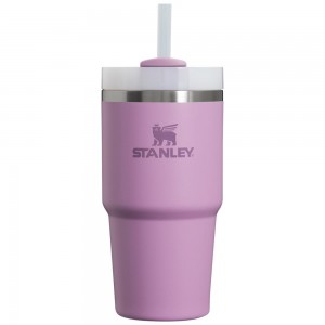 Purple Stanley Quencher H2.0 Travel Tumbler | 20 OZ Water Bottles | 29031-IOYW