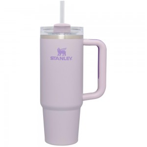 Purple Stanley Quencher H2.0 Travel | 30 OZ Tumbler | 68574-TAGW