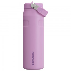 Purple Stanley The IceFlow™ Bottle with Flip Straw Lid | 24 OZ Water Bottles | 95638-QZYX