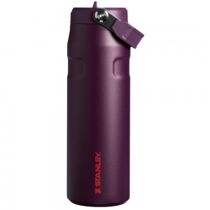 Purple Stanley The IceFlow™ Bottle with Flip Straw Lid | 24 OZ Water Bottles | 19804-DYAX