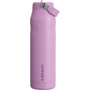 Purple Stanley The IceFlow™ Bottle with Flip Straw Lid | 36 OZ Water Bottles | 68342-URGC