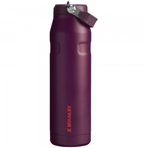 Purple Stanley The IceFlow™ Bottle with Flip Straw Lid | 36 OZ Water Bottles | 58391-UABX