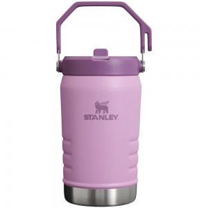 Purple Stanley The IceFlow Flip Straw Jug | 40 OZ | Insulated JUGS | 90635-EBCV