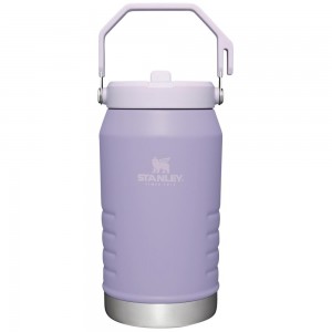 Purple Stanley The IceFlow Flip Straw Jug | 64 OZ | Insulated JUGS | 23169-CFVD