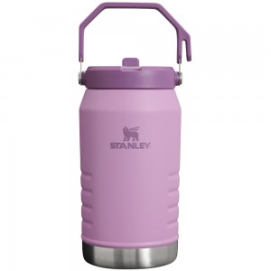 Purple Stanley The IceFlow Flip Straw Jug | 64 OZ | Insulated Water Jug Water Bottles | 06485-JAWZ