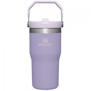 Purple Stanley The IceFlow Flip Straw Tumbler | 20 OZ | Insulated Water Tumbler | Sta Water Bottles | 40278-HDMN