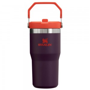 Purple Stanley The IceFlow Flip Straw Tumbler | 20 OZ | Insulated Water Tumbler | Sta Water Bottles | 62395-DHFC