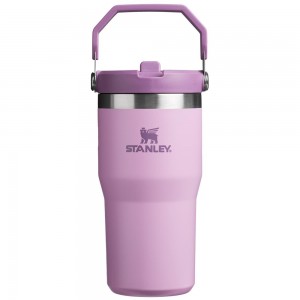 Purple Stanley The IceFlow Flip Straw Tumbler | 20 OZ | Insulated Water Tumbler | Sta Water Bottles | 34960-AWVS