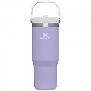 Purple Stanley The IceFlow Flip Straw Tumbler | 30 OZ | Insulated Water Water Bottles | 59732-MCWS