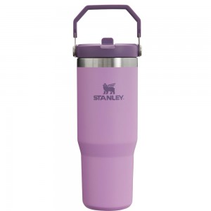 Purple Stanley The IceFlow Flip Straw Tumbler | 30 OZ | Insulated Water Water Bottles | 34012-LMDP