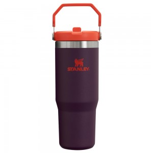 Purple Stanley The IceFlow Flip Straw Tumbler | 30 OZ | Insulated Water Water Bottles | 21896-QKYE