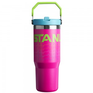 Purple Stanley The Reverb IceFlow™ Flip Straw Tumbler I 30 OZ Water Bottles | 67209-HYCP