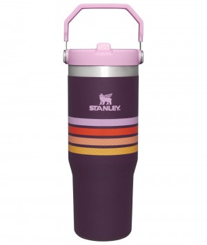 Purple Stanley The Varsity Iceflow™ Flip Straw Tumbler | 30 OZ Water Bottles | 82174-THAR