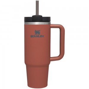 Red Rust Stanley Quencher H2.0 Travel Tumbler | Soft Matte | 30 OZ Water Bottles | 90753-VPLH