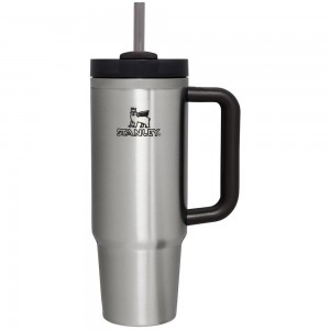 Silver Stanley Naijel Graph x Stanley Quencher H2.0 Tumbler | 30 OZ Water Bottles | 86923-HKCJ