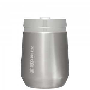 Stainless Steel Grey Stanley GO Everyday Insulated Tumbler | 10 OZ Cups | 18903-KNQC