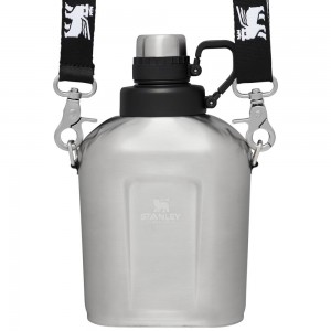 Stainless Steel Grey Stanley The Legendary Classic Insulated Canteen | 1.1QT Water Bottles | 19347-PARY